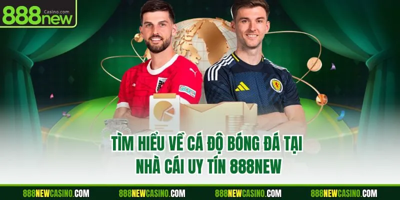 Tìm hiểu về cá độ bóng đá tại nhà cái uy tín 888NEW